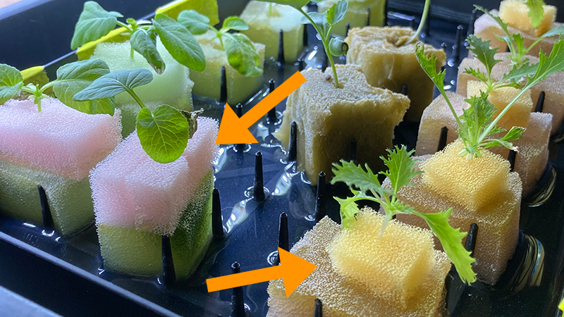 水耕栽培で苗が徒長したときの対策