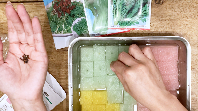 水耕栽培用スポンジ